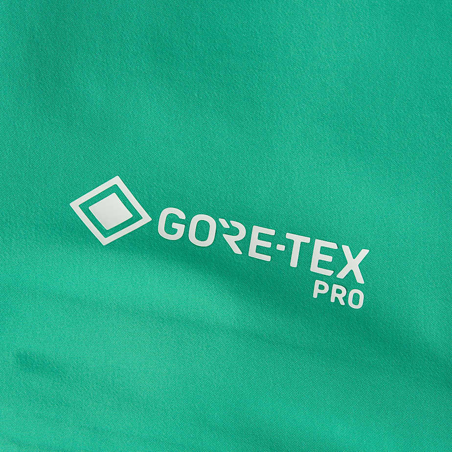 Women's Summit Cayesh GORE-TEX Pro Jacket